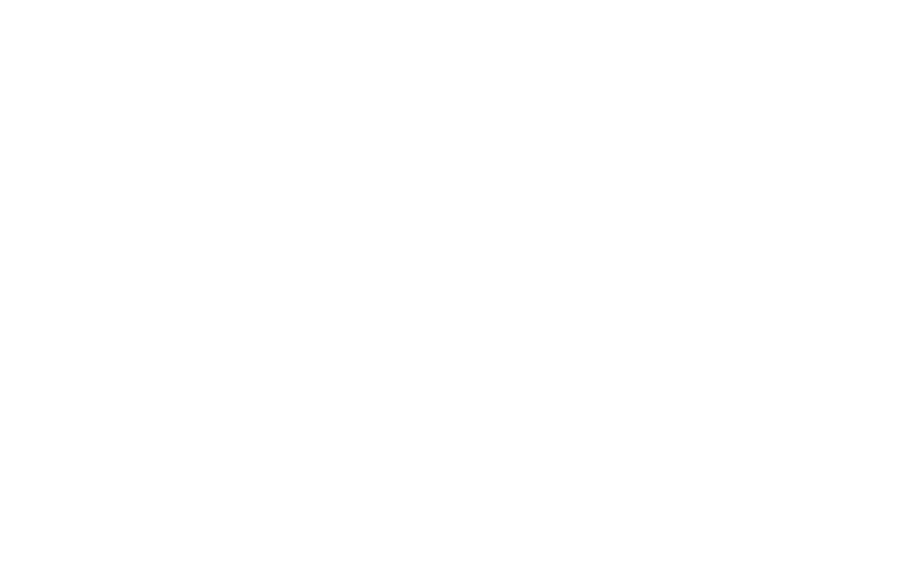 FALCON FAMILY INVESTMENT